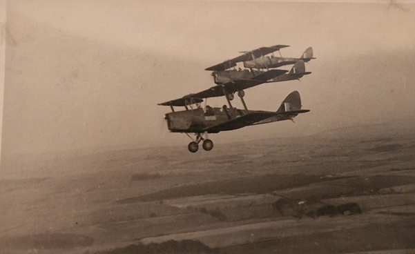 Tiger Moth