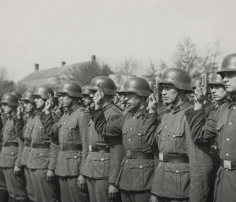 Landstorm Nederland - the 2nd Dutch Waffen-SS 'division' that only fought on the Western Front