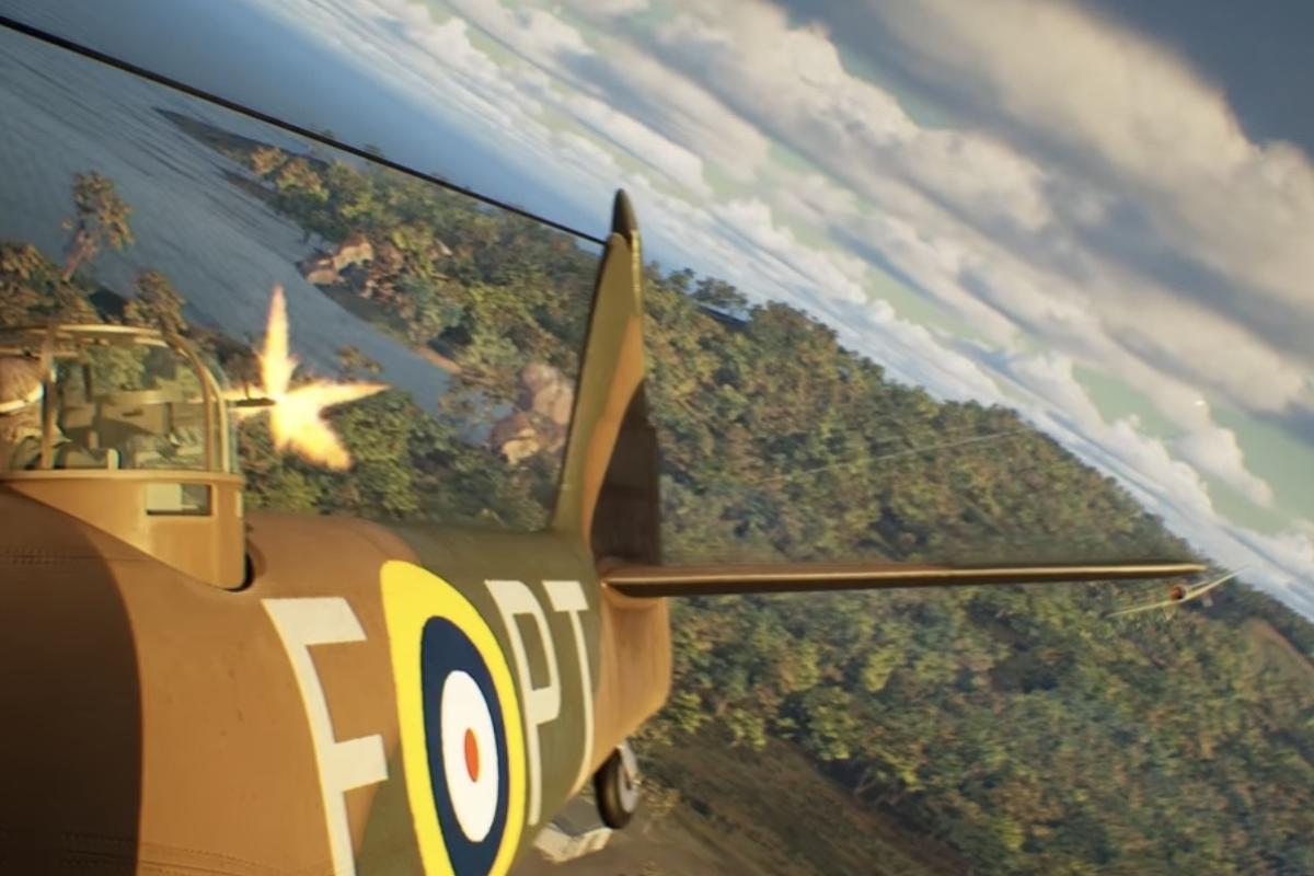 Blenheim plane 