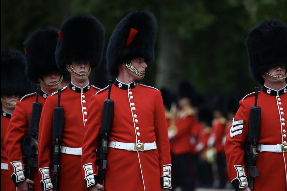 Coldstream guard 
