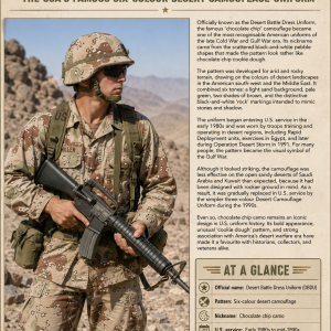 Us desert camo