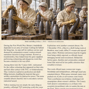 Canary girls woman factory tnt workers 