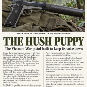 Hush puppy pistol